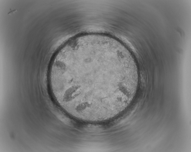 X0000111010487200907171838