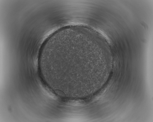 X0000111010488200907171838