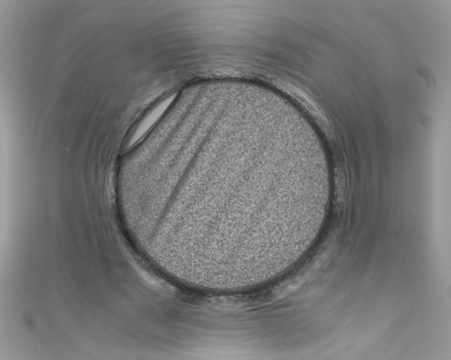X0000111010489200907171838