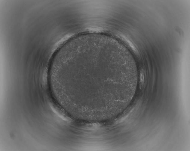 X0000111010492200907171837