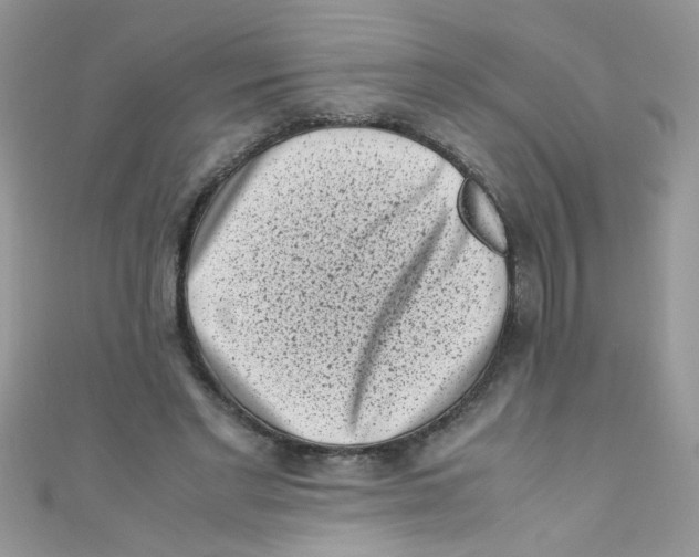 X0000111010493200907171837