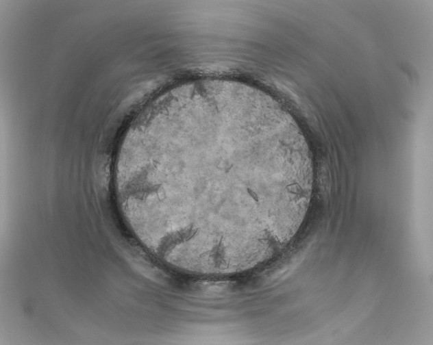 X0000111010495200907171837