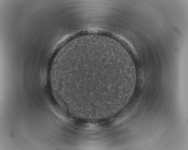 X0000111010496200907171837