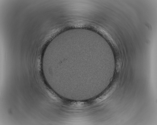 X0000111010497200907171837