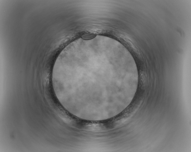 X0000111010499200907171837