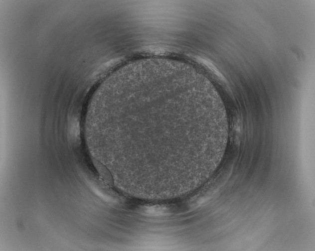 X0000111010500200907171837