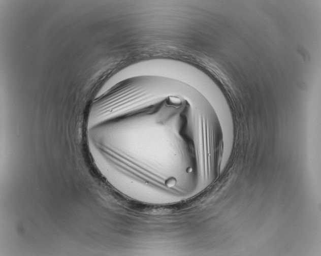 X0000111010501200907171837
