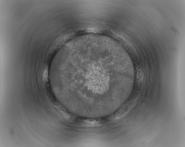 X0000111010502200907171837