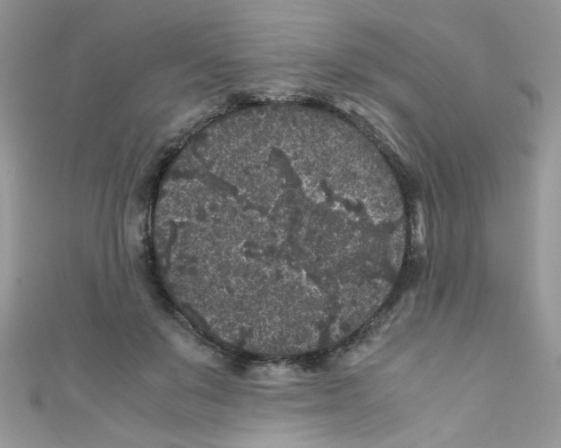 X0000111010503200907171837