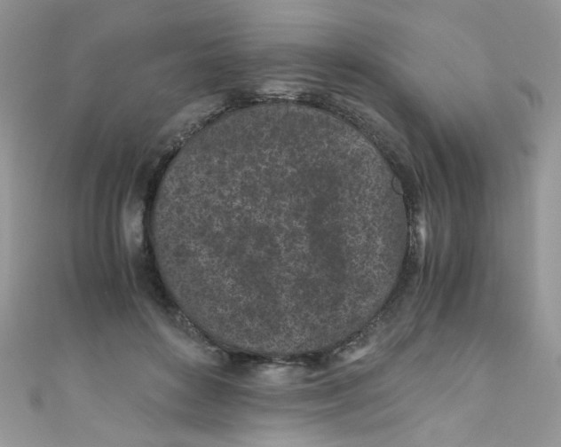 X0000111010504200907171837