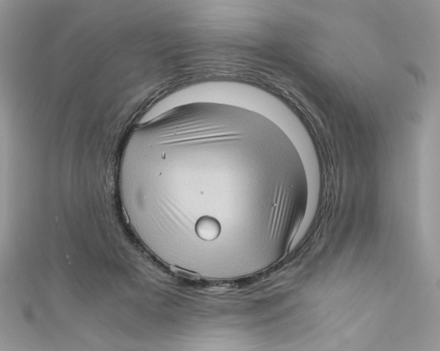 X0000111010505200907171837
