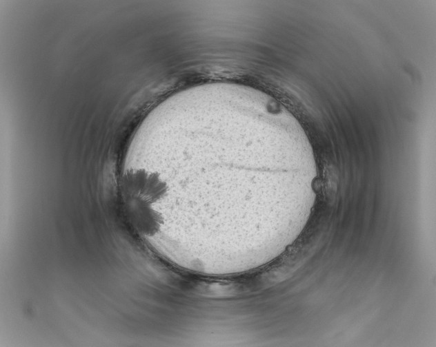 X0000111010506200907171837