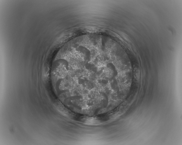 X0000111010507200907171837