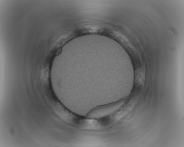 X0000111010509200907171837