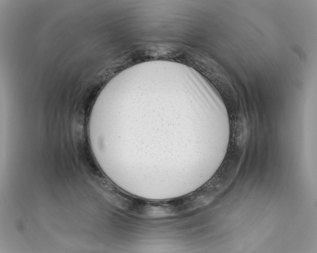 X0000111010510200907171837