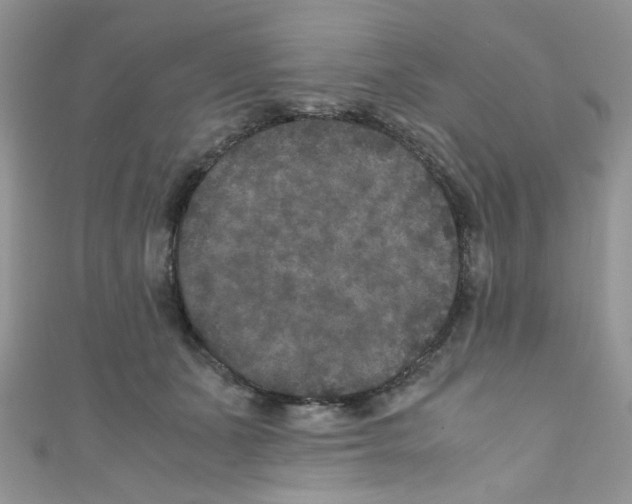 X0000111010511200907171837