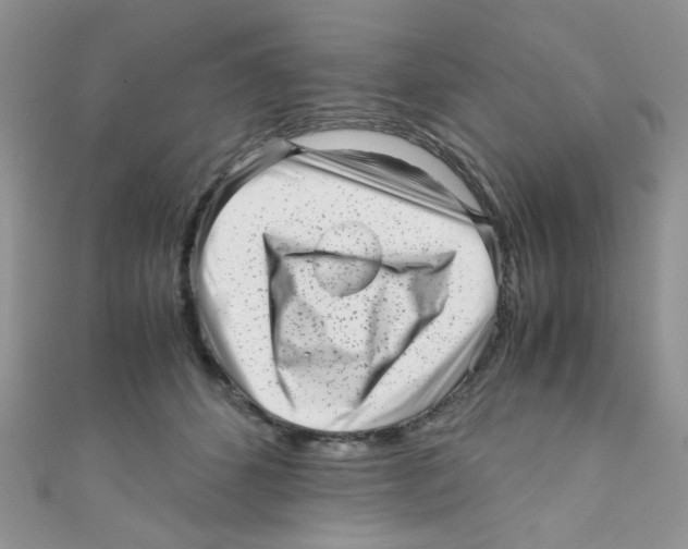 X0000111010512200907171837