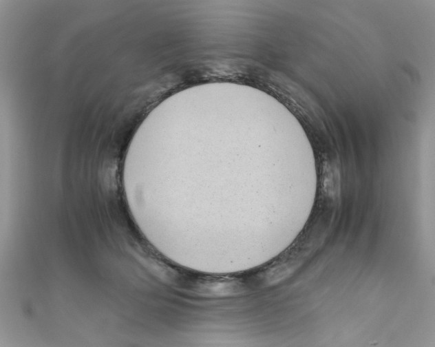 X0000111010514200907171837