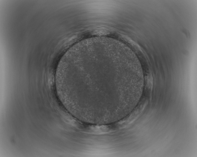X0000111010517200907171837