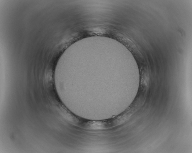 X0000111010518200907171837