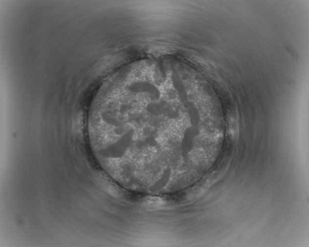 X0000111010519200907171837