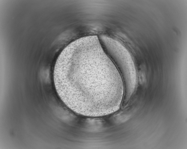 X0000111010520200907171837