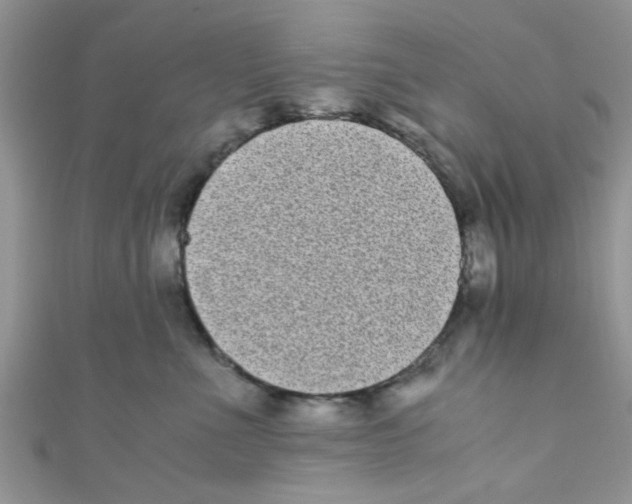 X0000111010523200907171837