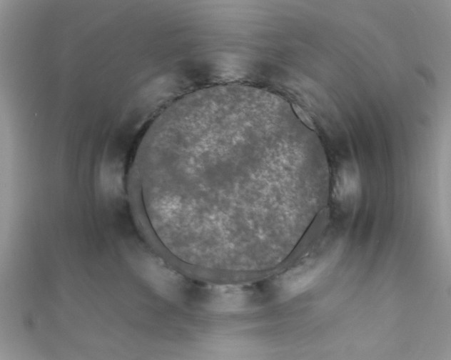 X0000111010524200907171837