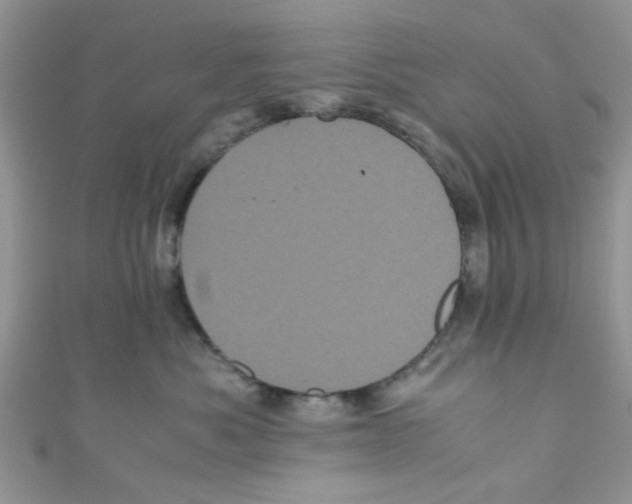 X0000111010525200907171837