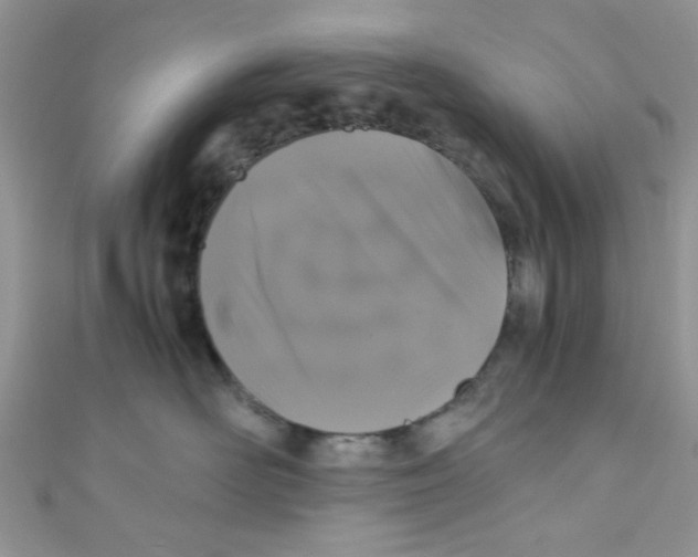 X0000111010526200907171837