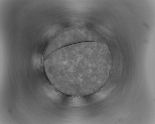 X0000111010528200907171837