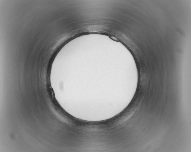X0000111010530200907171836