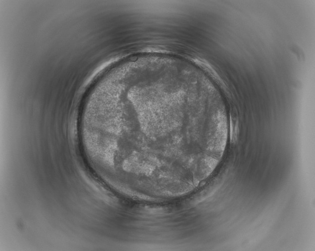 X0000111010531200907171836