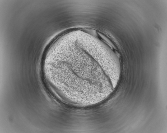 X0000111010532200907171836