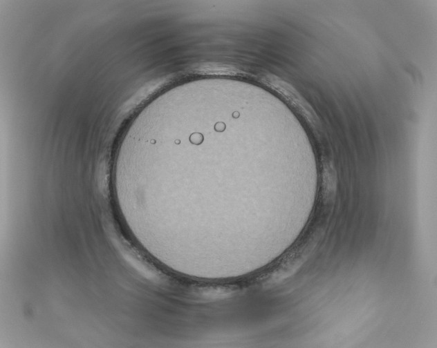 X0000111010533200907171836