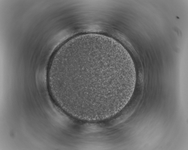 X0000111010534200907171836