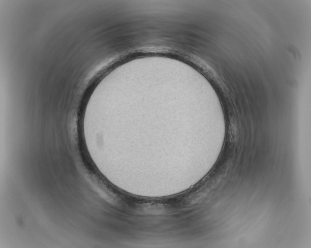 X0000111010535200907171837