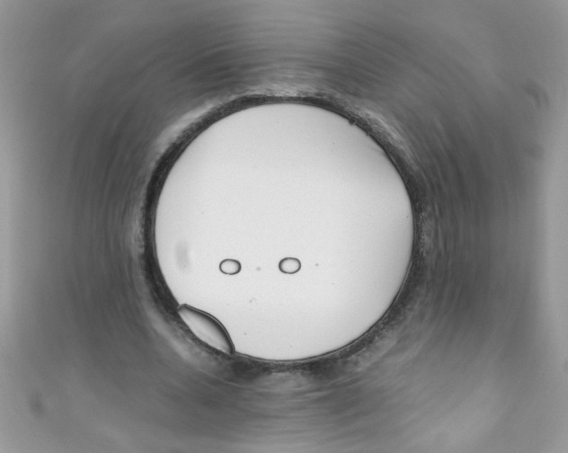 X0000111010536200907171837