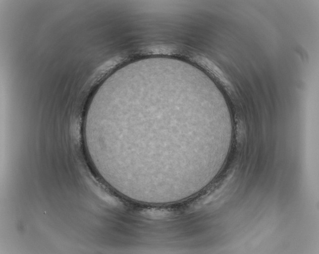 X0000111010537200907171837