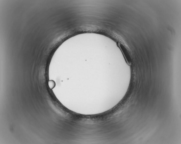 X0000111010538200907171837