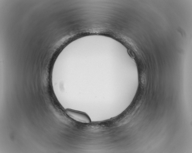 X0000111010540200907171837
