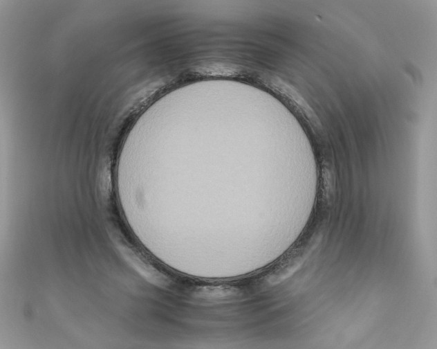 X0000111010541200907171837