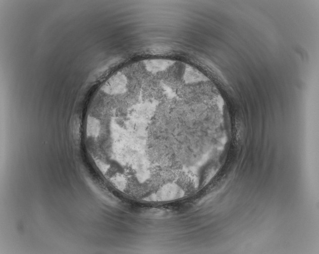 X0000111010542200907171837