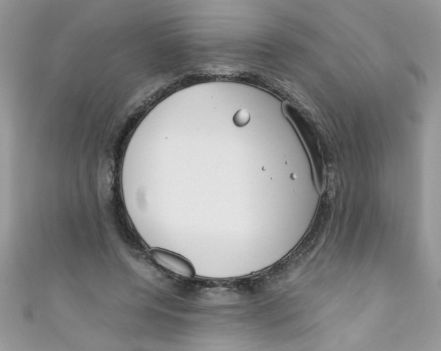 X0000111010544200907171837
