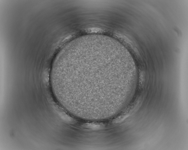 X0000111010545200907171837