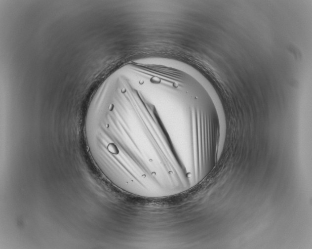 X0000111010546200907171837