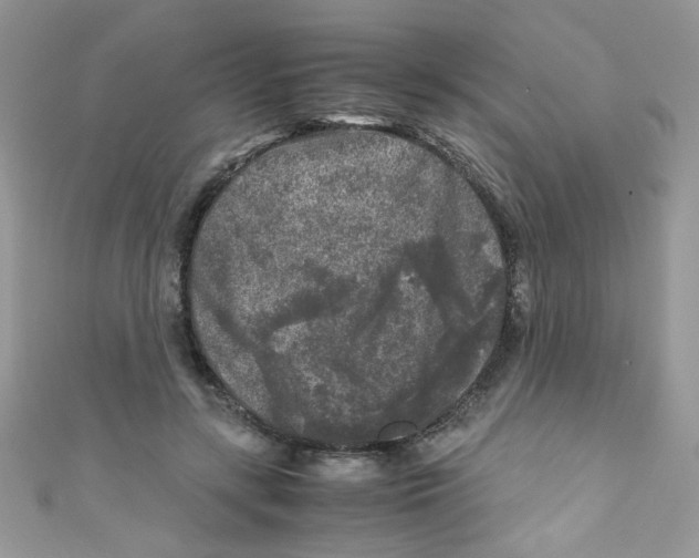 X0000111010547200907171837