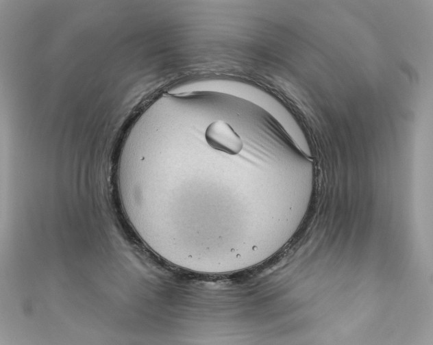 X0000111010548200907171837