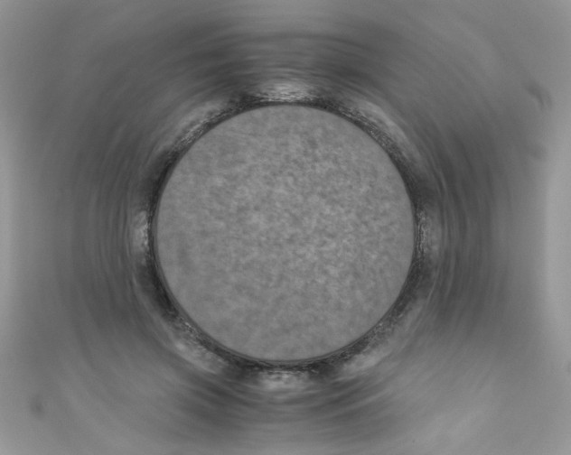 X0000111010549200907171837