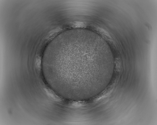 X0000111010550200907171837
